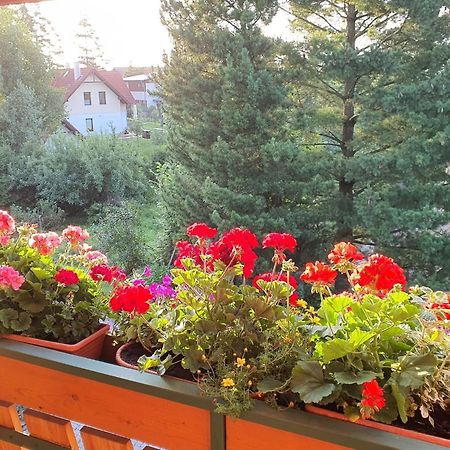 Chalet Chata Tereza Villa Stara Lesna Bagian luar foto