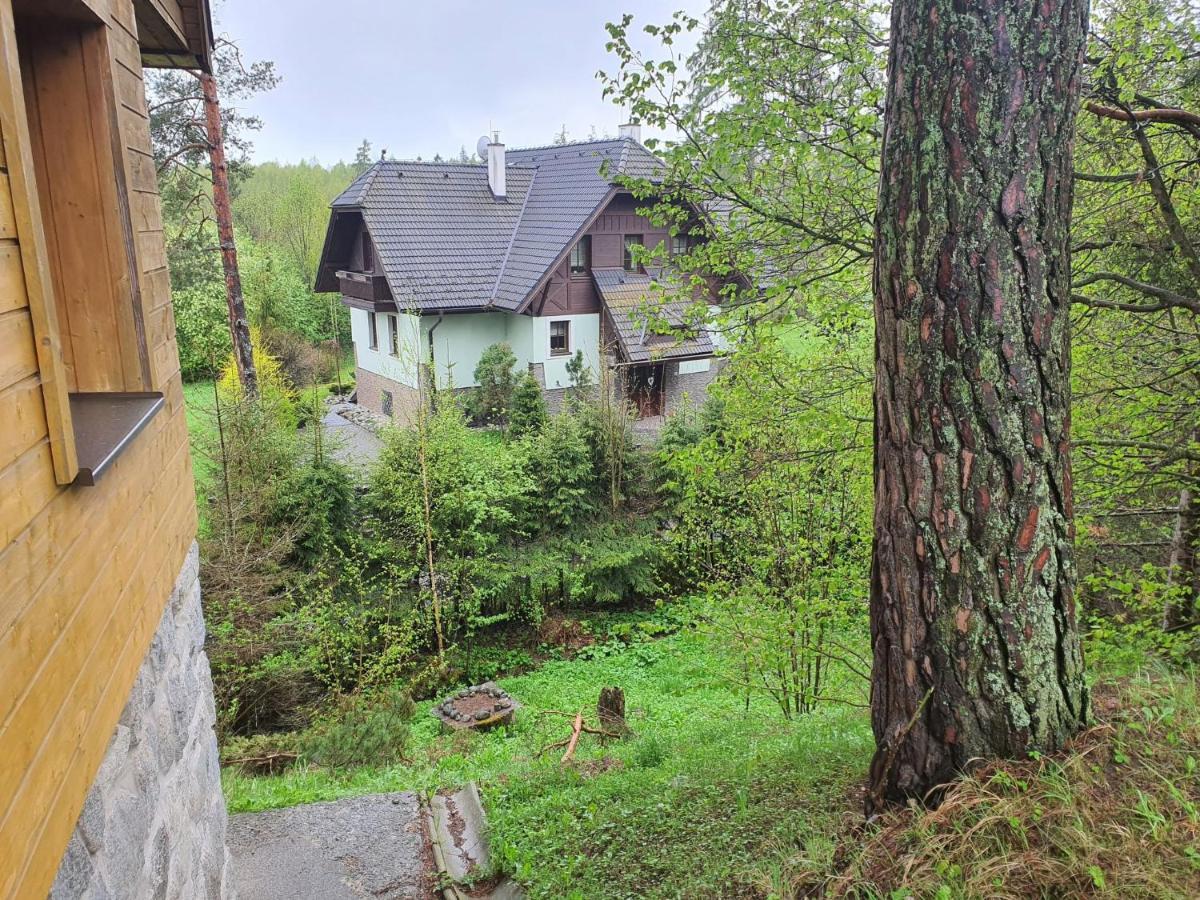 Chalet Chata Tereza Villa Stara Lesna Bagian luar foto