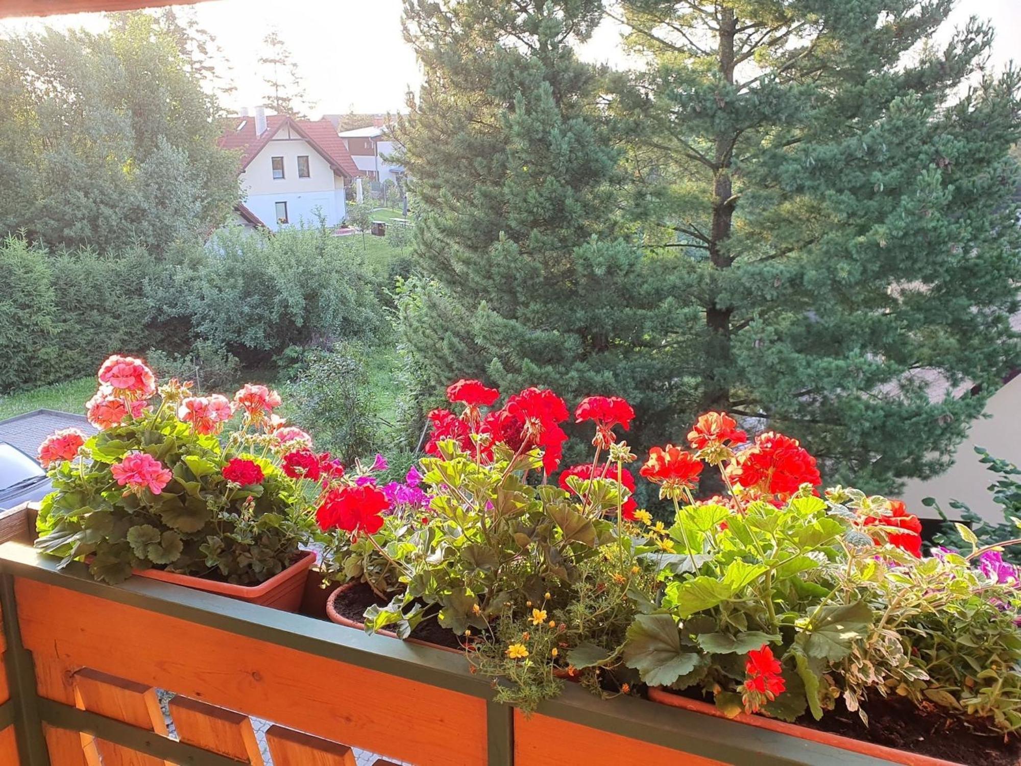 Chalet Chata Tereza Villa Stara Lesna Bagian luar foto